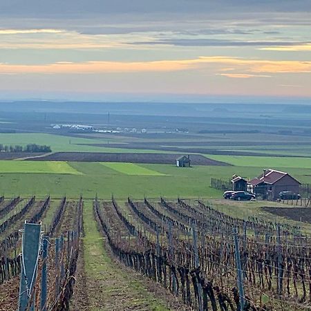 Kuca Za Odmor Kiss-Karanac,Baranja Villa Екстериор снимка