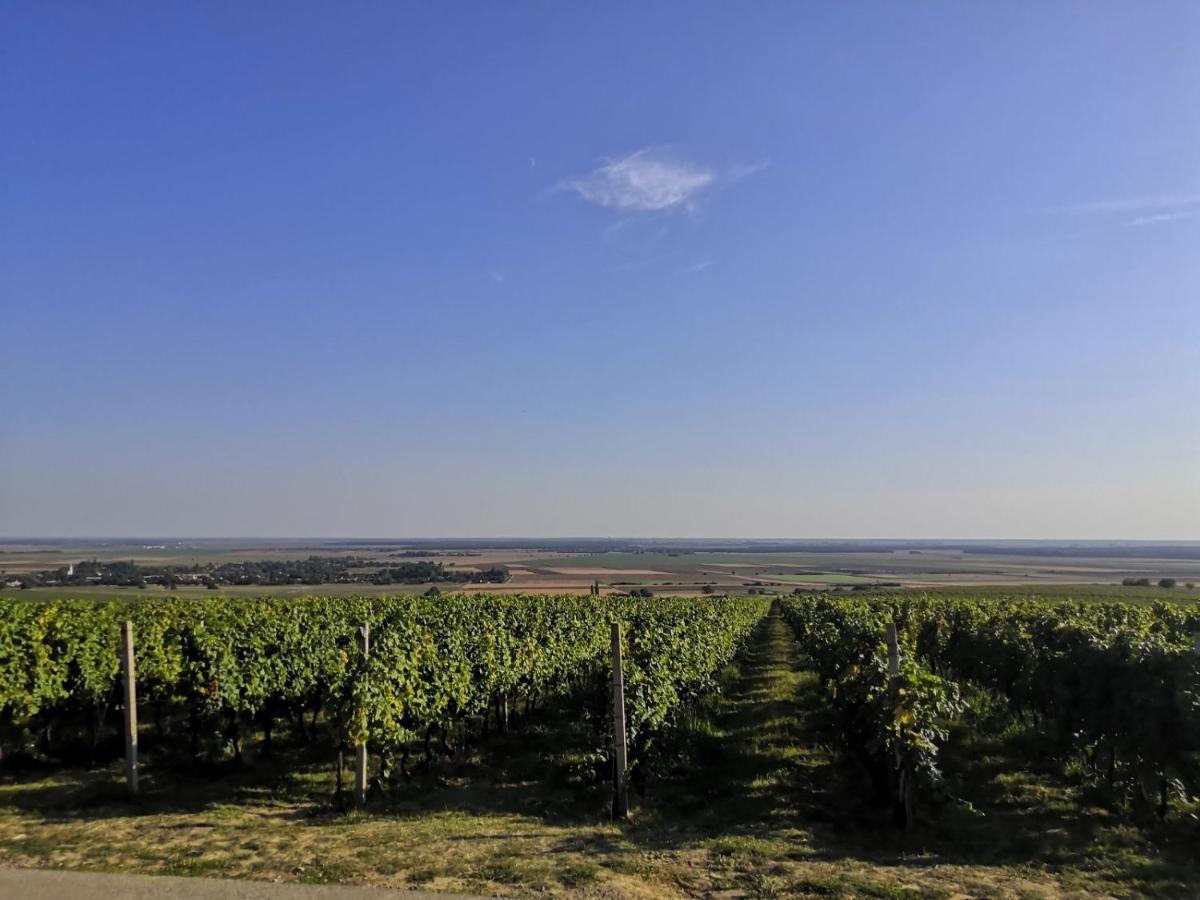 Kuca Za Odmor Kiss-Karanac,Baranja Villa Екстериор снимка
