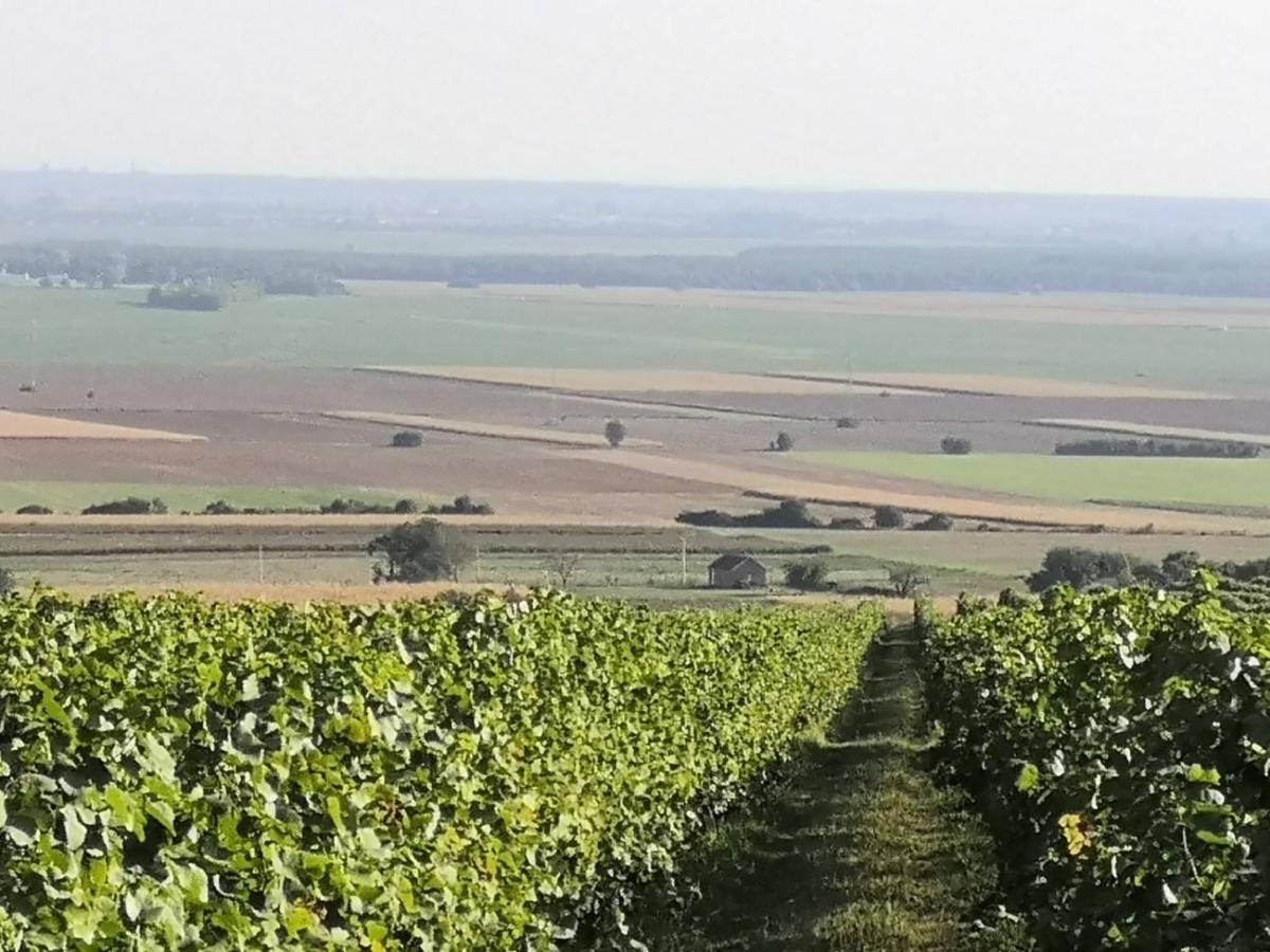 Kuca Za Odmor Kiss-Karanac,Baranja Villa Екстериор снимка