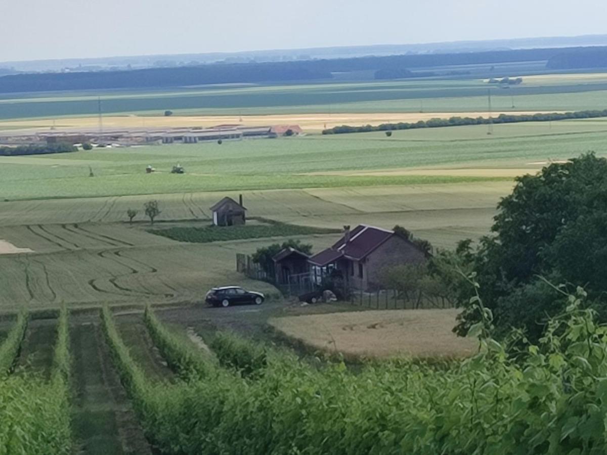 Kuca Za Odmor Kiss-Karanac,Baranja Villa Екстериор снимка