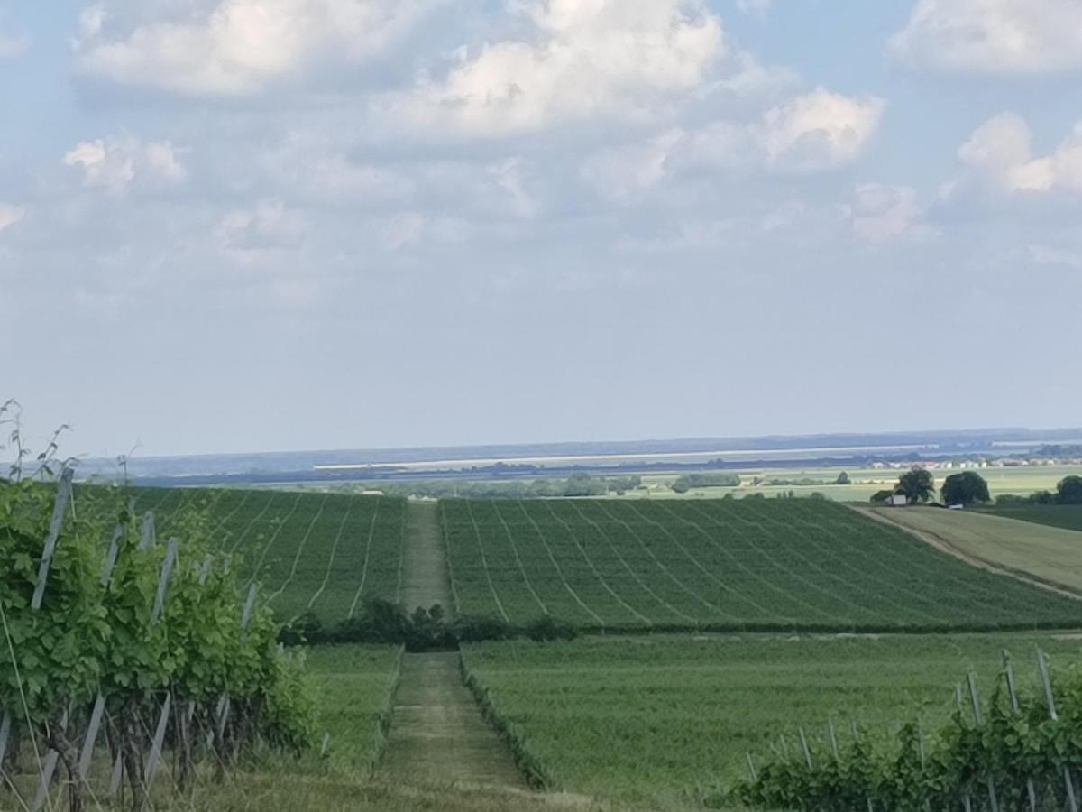 Kuca Za Odmor Kiss-Karanac,Baranja Villa Екстериор снимка