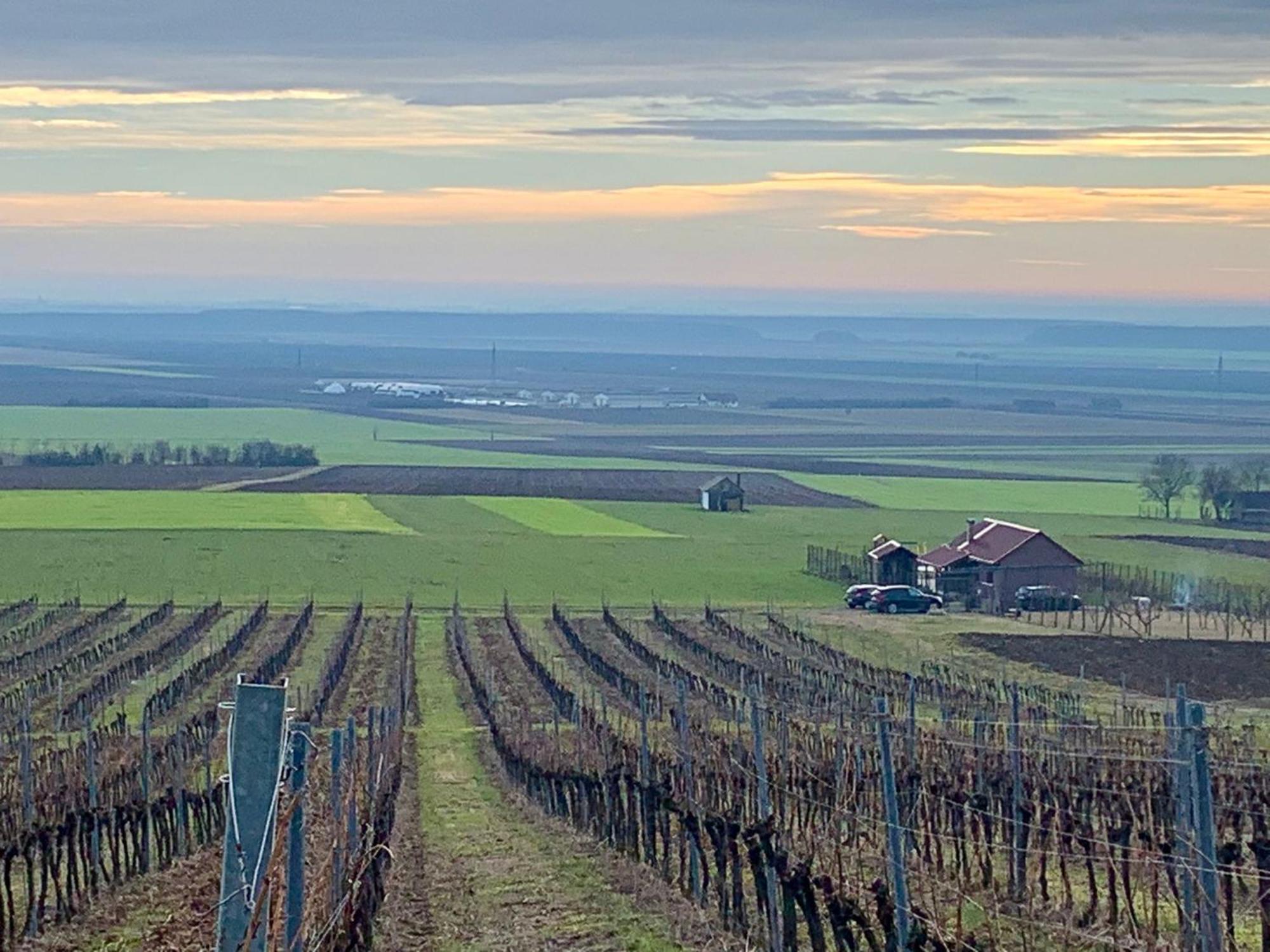 Kuca Za Odmor Kiss-Karanac,Baranja Villa Екстериор снимка